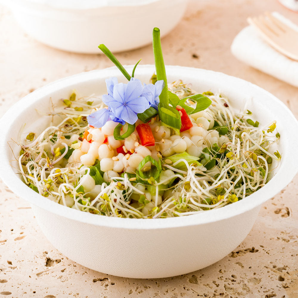 Bleached white bagasse tableware products